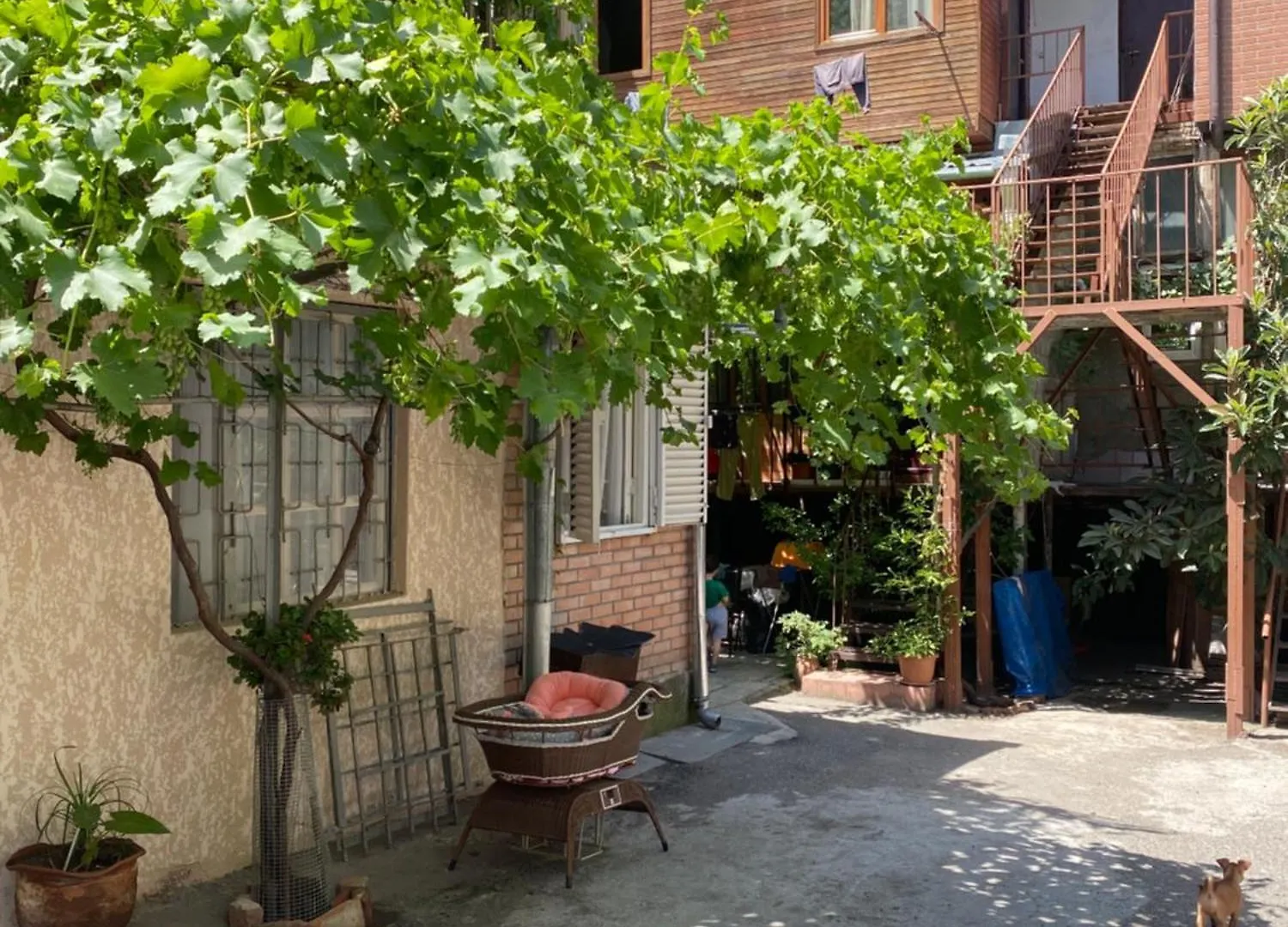 Central House Tbilisi